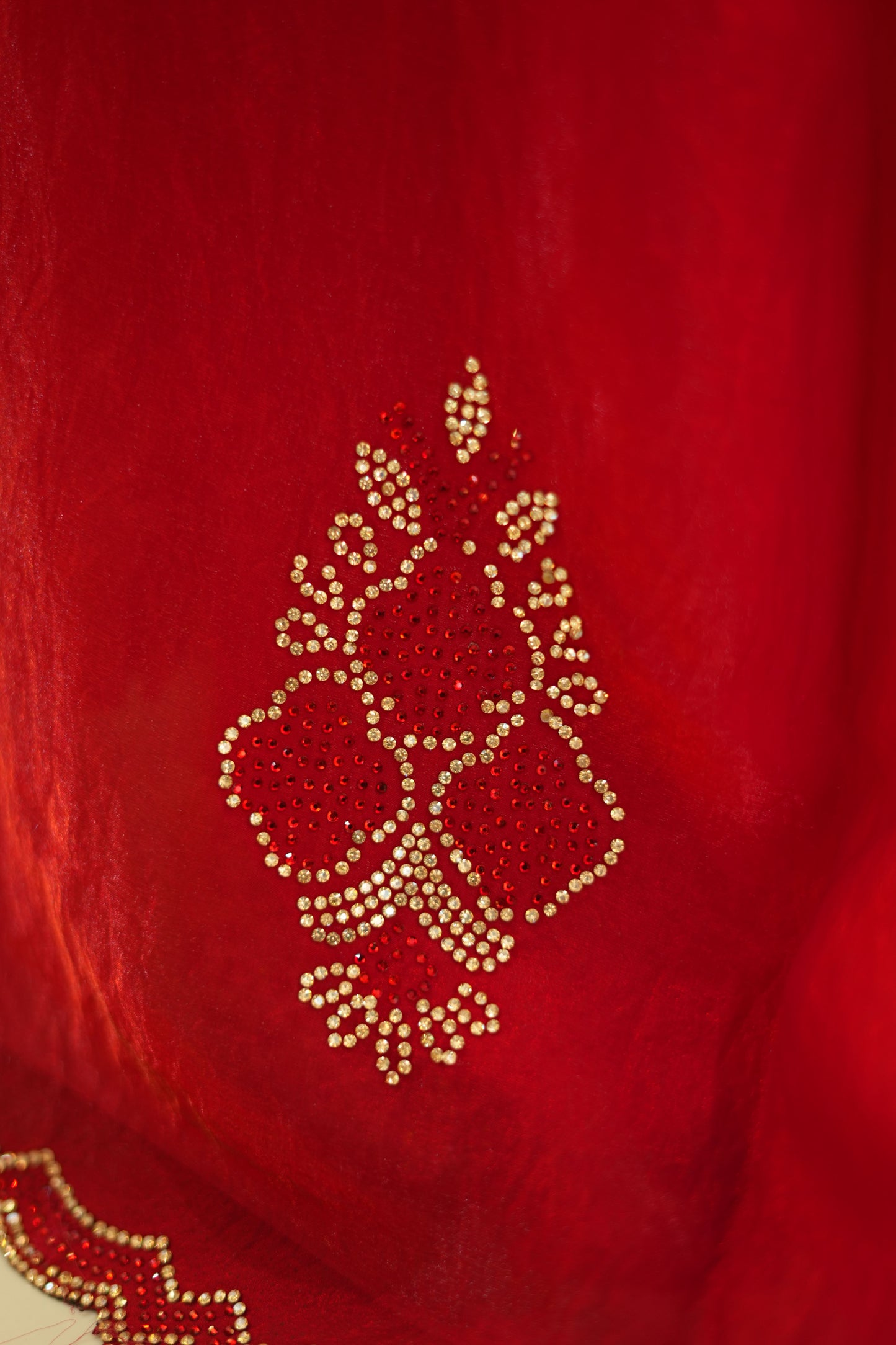 VRNY Red Cut-Dana Saree