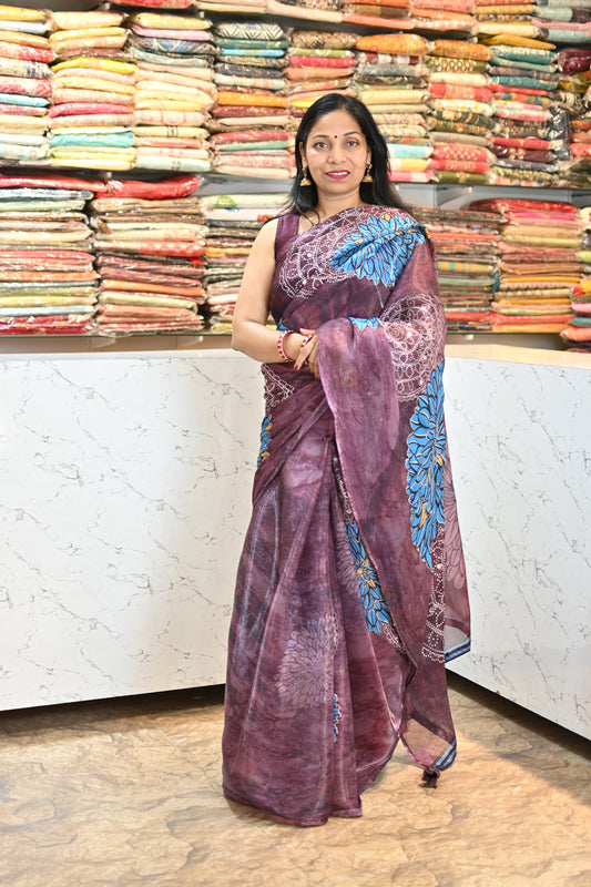 VRNY Glass Organza Saree